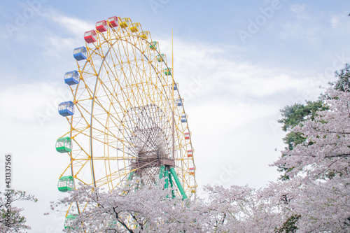 青空と観覧車と桜