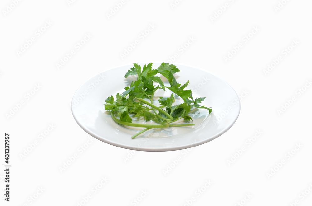 parsley on a white plate