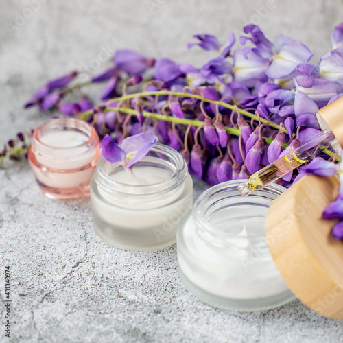 Three glass jars of cream and a sprig of blooming wisteria  and natural flower oil in the dispenser are on a gray background. Natural cometology theme.