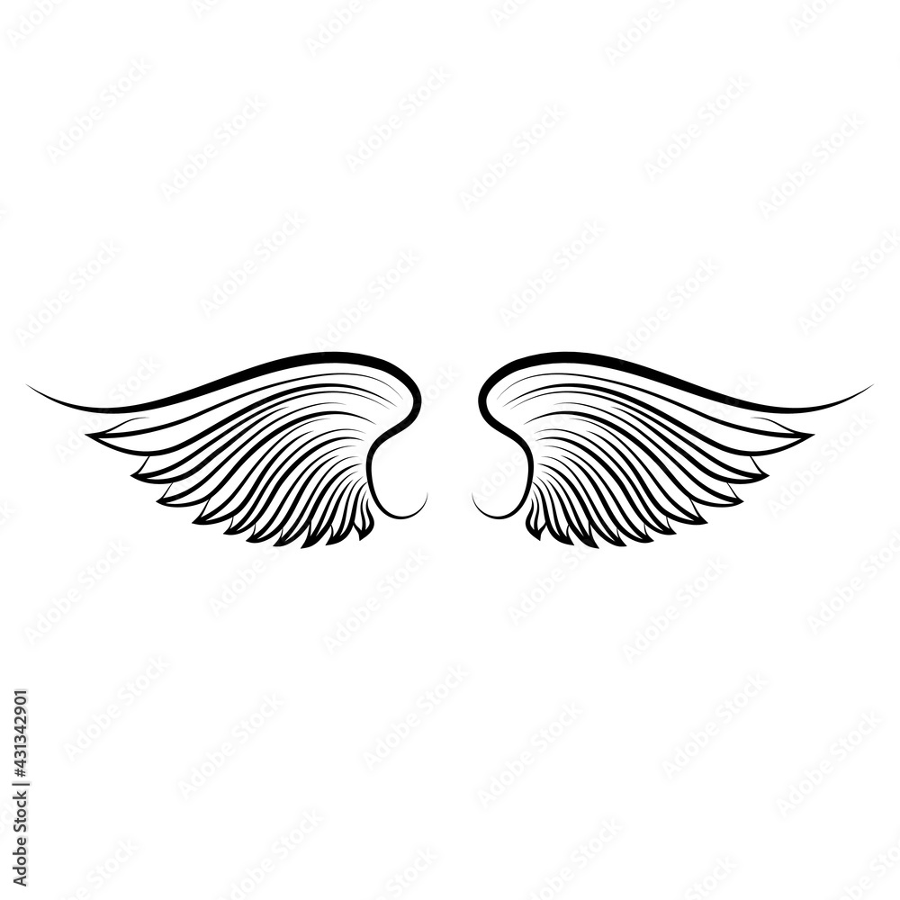 Obraz premium beautiful bright color illustration of black and white wings on the background