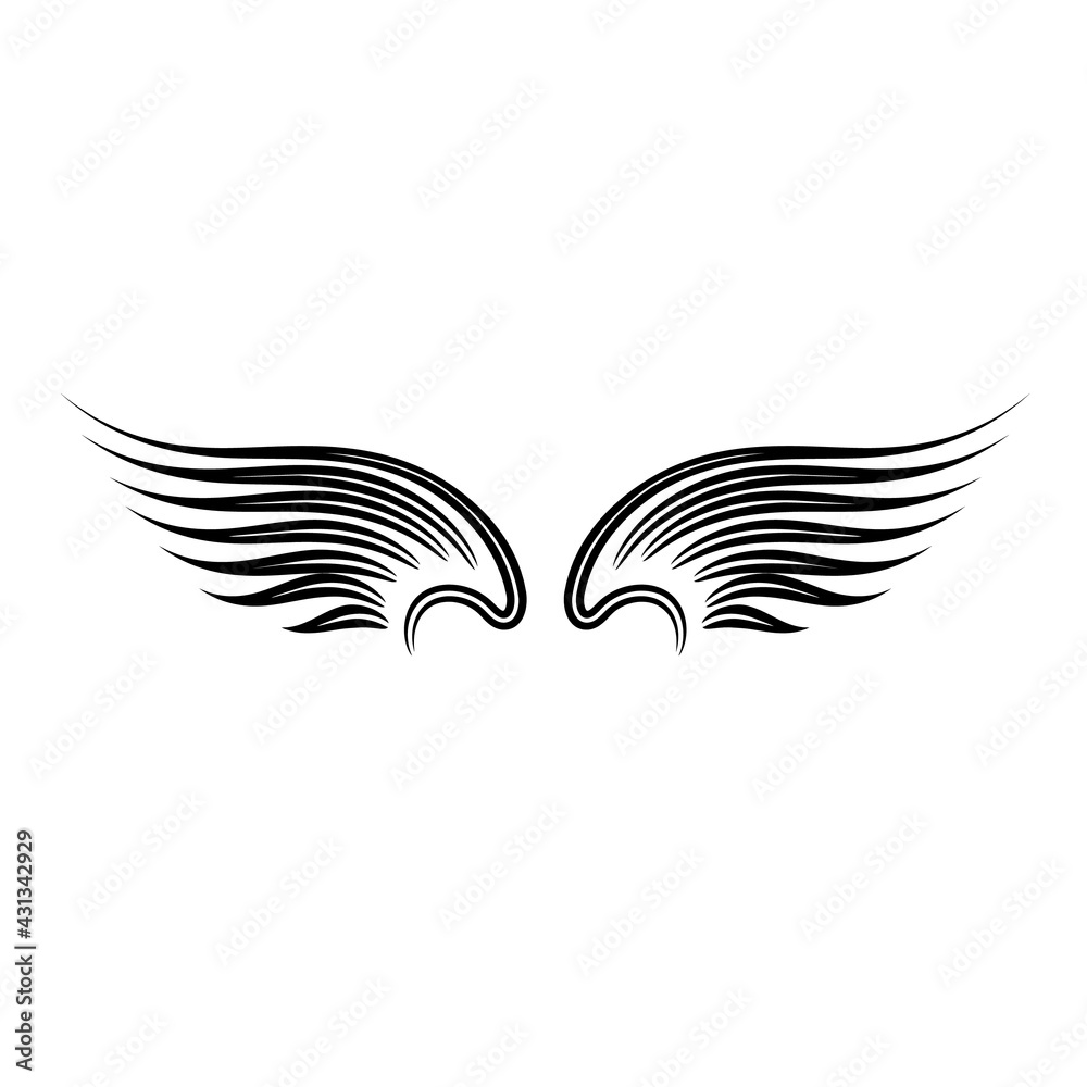 beautiful bright color illustration of black and white wings on the background