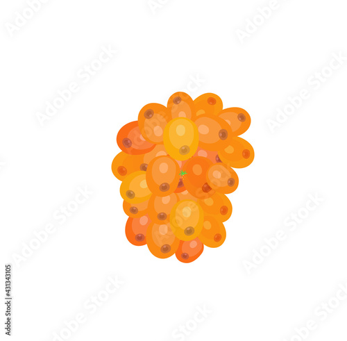 beautiful bright color illustration of fruit on the background