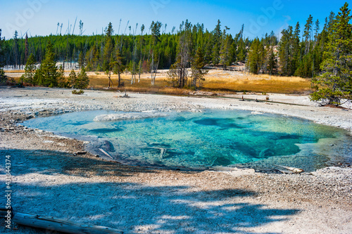 Deep azure thermal spring by in Yellowstone National Park