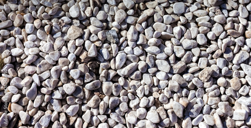 White pebbles close-up in spring (Background, Banner, Wallpaper) White pebbles close-up in spring (Background, Banner, Wallpaper)