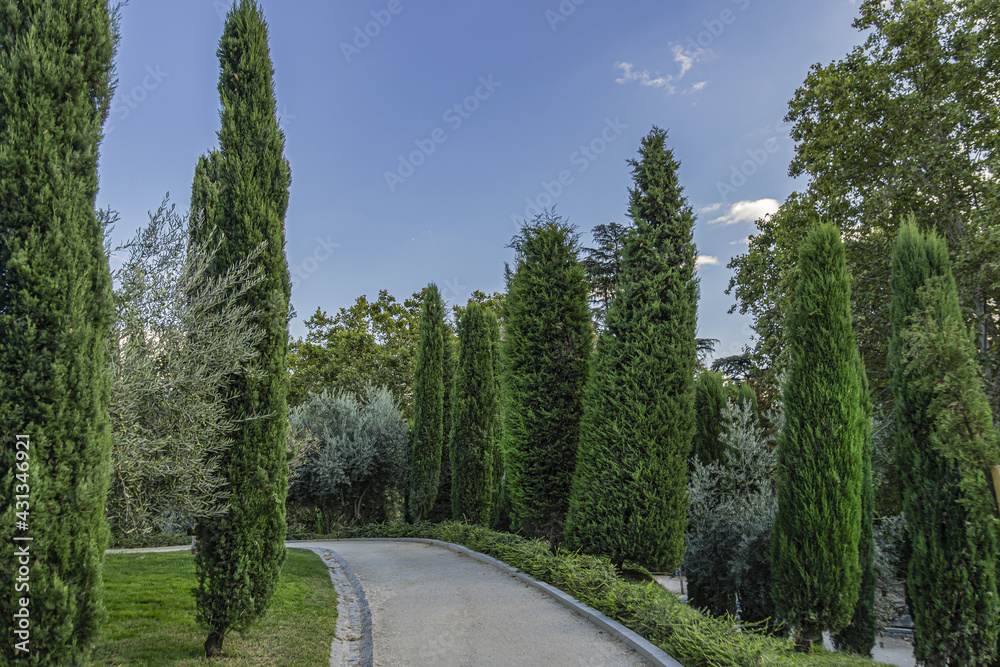 130 hectare Parque del Buen Retiro is the most popular park in Madrid. Retiro Park created as a royal park and opened to the public in 1868. Madrid. Spain. 130 hectare Parque del Buen Retiro is the most popular park in Madrid. Retiro Park created as a royal park and opened to the public in 1868. Madrid. Spain.