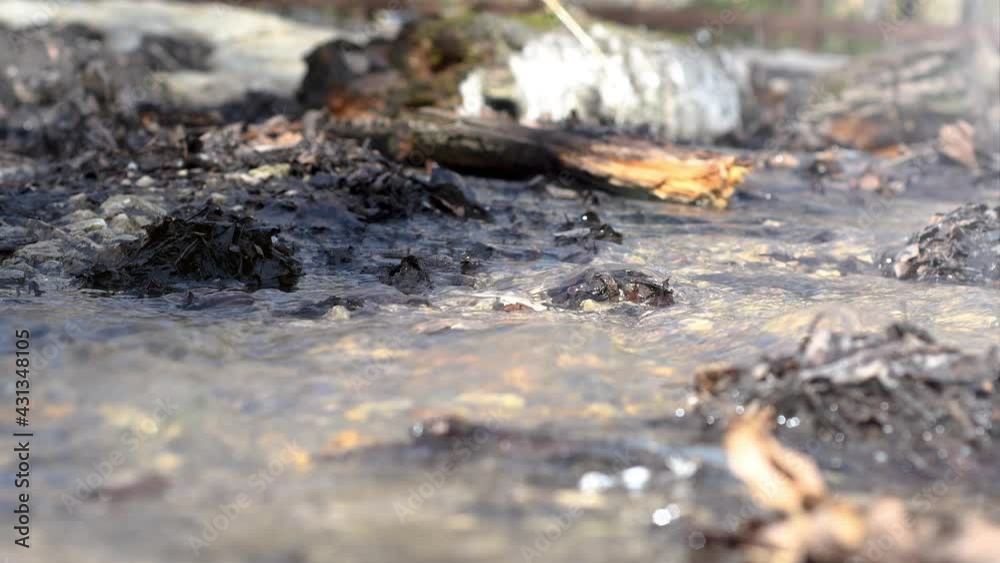 A spring stream from the melted snow flows over the muddy ground. A spring stream from the melted snow flows over the muddy ground.