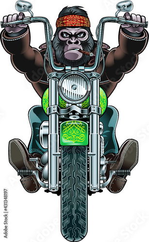 monkey riding motorcycle
