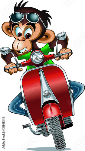 monkey driving on a scooter