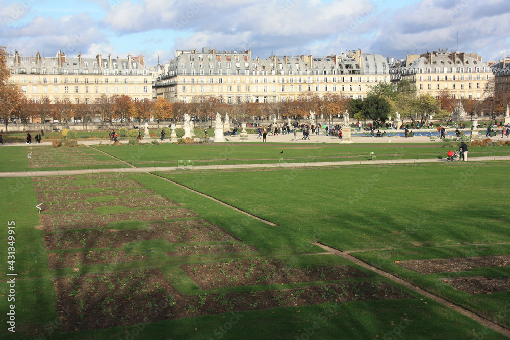Jardin des Tuileries en automne à Paris, France