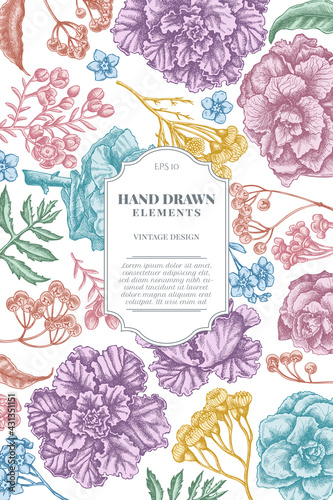 Card design with pastel wax flower, forget me not flower, tansy, ardisia, brassica, decorative cabbage