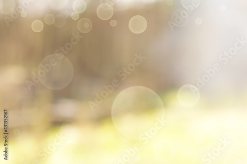 blurred summer-spring light green background with bokeh elements