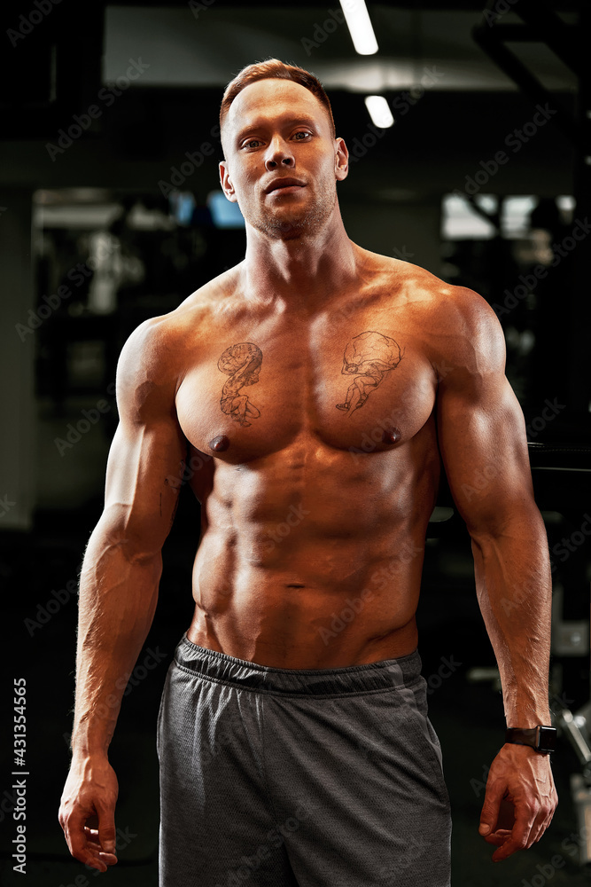 Closeup portrait of a muscular man workout with barbell at gym. Brutal bodybuilder athletic man with six pack, perfect abs, shoulders, biceps, triceps and chest