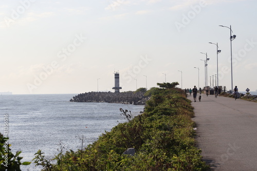 Mole Itajaí