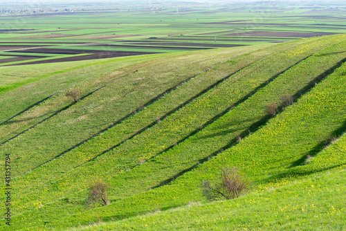 Terraced vibrant green agricultural fields at springtime in Transylvania  Romania.