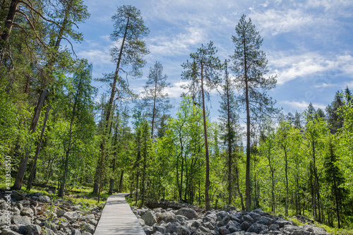 View of The Pyha-Luosto National Park in summer, wooden walkway, trees and rocks, Lapland, Finland photo
