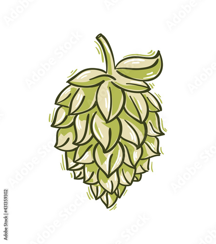 Stylized drawn hop head for beer brewing sign