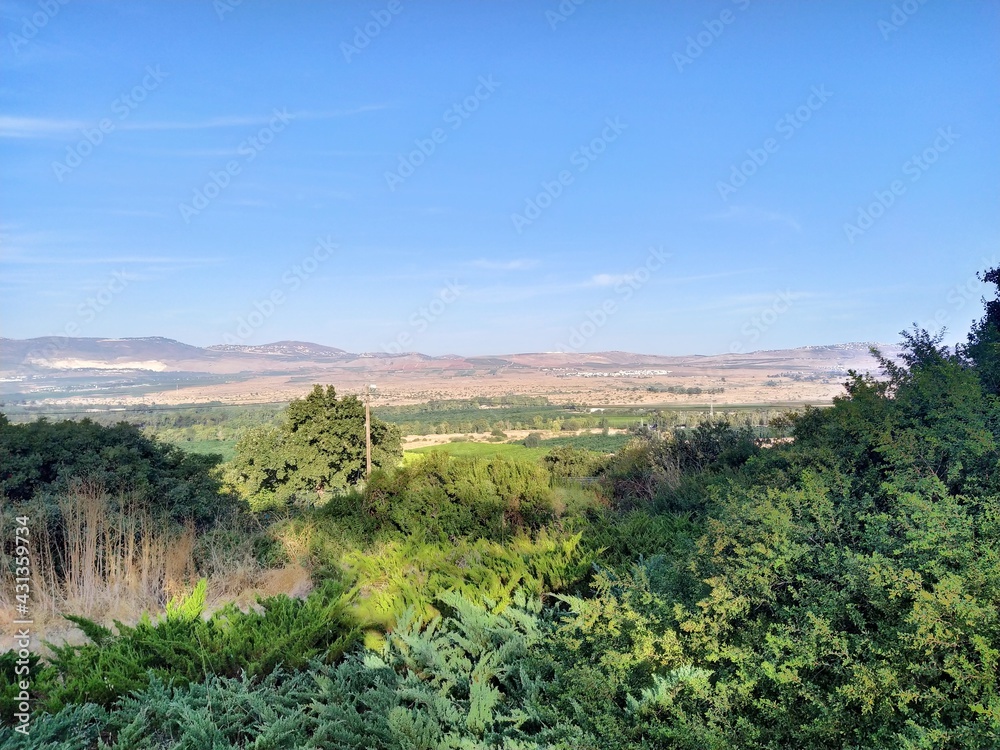 view to a meadow