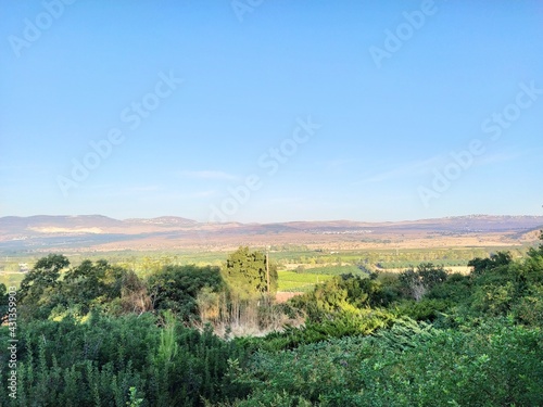 view to a meadow