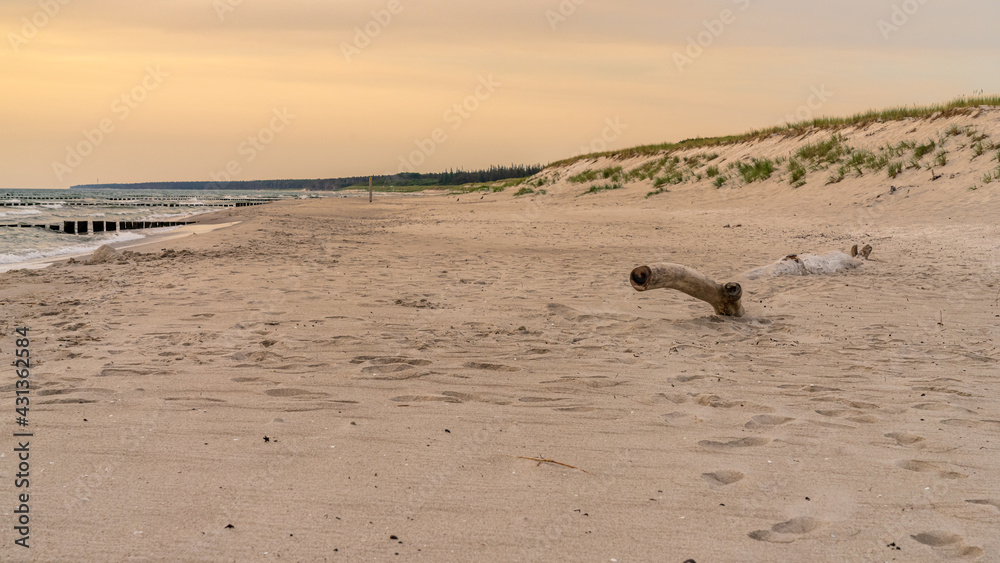custom made wallpaper toronto digitalEvening at the beach in Ahrenshoop, Mecklenburg-Western Pomerania, Germany