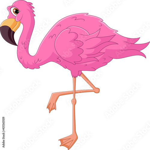cute flamingo cartoon