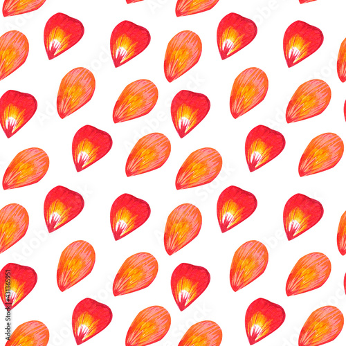 Watercolor seamless pattern with red and orange pansy flower petals on white background.Floral design with pansies for clothes,fabrics,textile,wrapping paper,decoration.Hand drawn flowers
