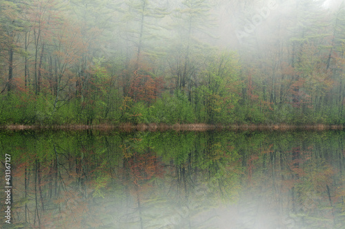 Foggy spring landscape of the shoreline of Long Lake with mirrored reflections in calm water, Yankee Springs State Park, Michigan, USA © Dean Pennala