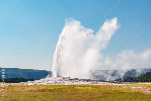 Old Fauthful geyser eruption, Yellowstone national park, Wyoming, United States of America, USA.