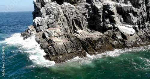 Lobos marinos en Todos Santos, Baja California, México_Jorge Morfin photo