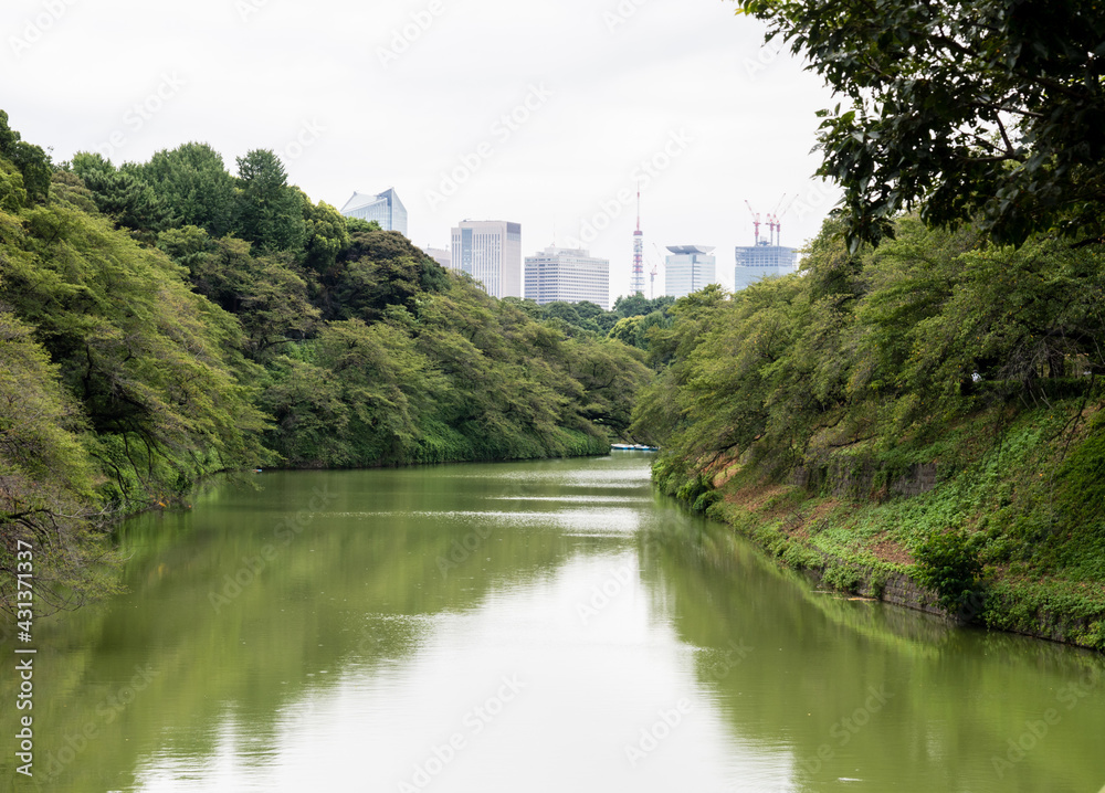 View of Chidorigafuchi moat in summer - Tokyo, Japan View of Chidorigafuchi moat in summer - Tokyo, Japan