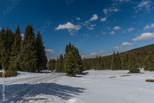 Snow on spring meadow near Orle village in Jizerske mountains in Poland