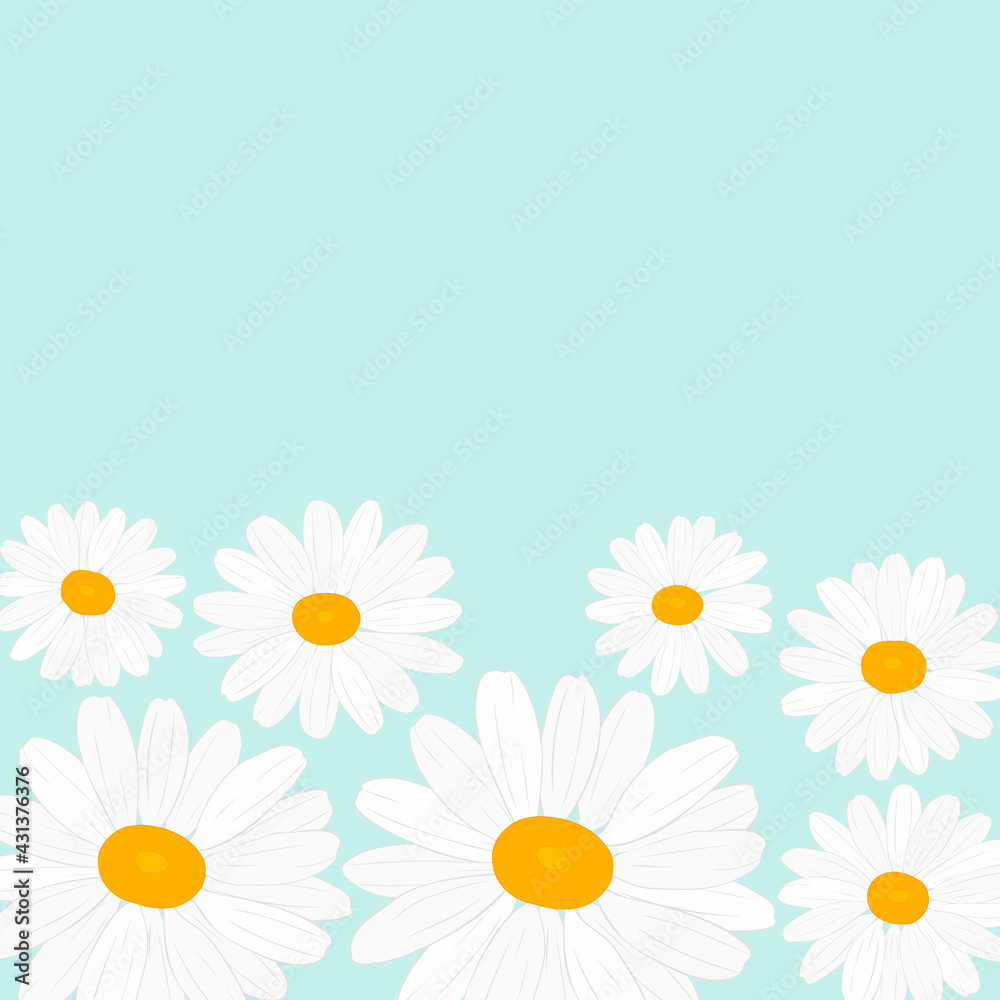 Greeting card daisies flowers vector Illustration