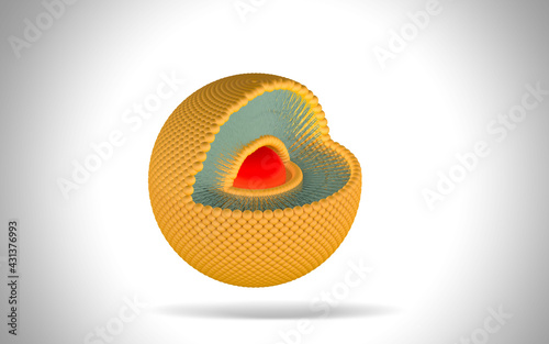 Structure of liposome, phospholipid, cell, 3d render animation. 3D Render illustration