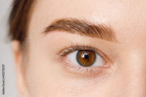 Fototapeta Naklejka Na Ścianę i Meble -  Close up view of beautiful female eyes with long natural lashes. Styling and lamination of natural eyebrows. Good vision, contact lenses. Eye health care.