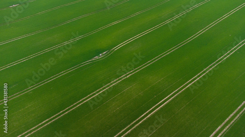 Traktorspuren auf einem Getreidefeld, Drohnenfoto