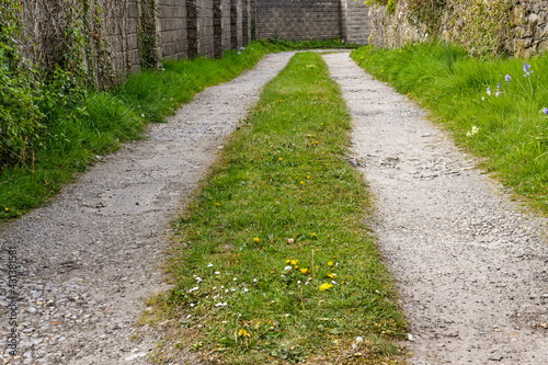 Narrow back lane with gravel for vehicles and a centre grass strip. No people.