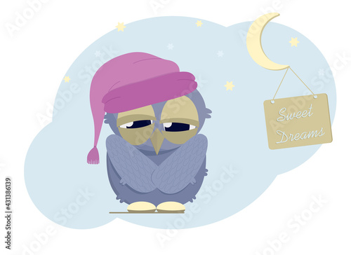 Sleepy owl in a nightcap. Night with stars and moon