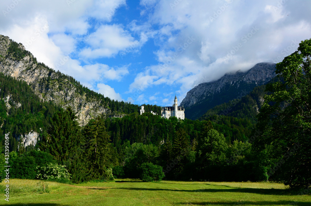 krajobraz z zamkiem na skale, romantic castle on the hill in the forest