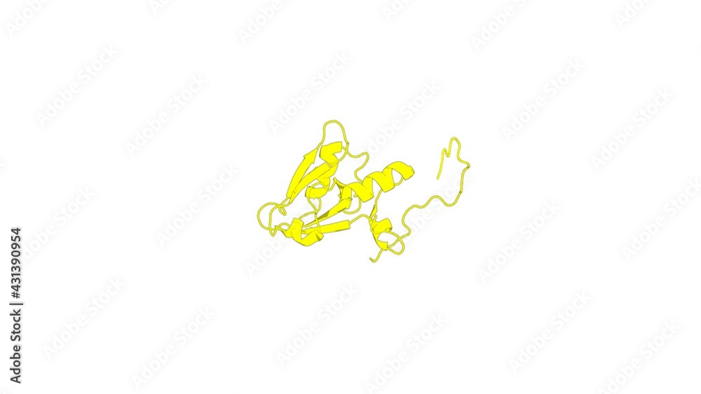 360º realistic 3D rendering of an animated biological molecule over a white background with alpha mask. A dynamic intramolecular conformational switch autoregulates the scaffolding protein NHERF1 360º realistic 3D rendering of an animated biological molecule over a white background with alpha mask. A dynamic intramolecular conformational switch autoregulates the scaffolding protein NHERF1