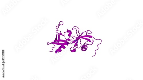 360º realistic 3D rendering of an animated biological molecule over a white background with alpha mask.  Structure of a double ubiquitin-like domain in the talin head: a role in integrin activation. photo