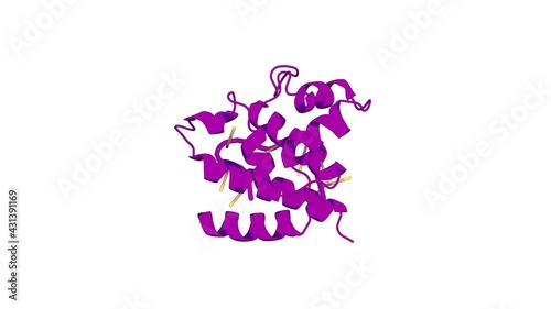 360º realistic 3D rendering of a biological molecule. A Small Helical Bundle Prepares Primer Synthesis by Binding Two Nucleotides that Enhance Sequence-Specific Recognition of the DNA Template.