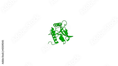 360º realistic 3D rendering of an animated biological molecule over a white background with alpha mask.  Structure and DNA Binding of the Human Rtf1 Plus3 Domain. photo