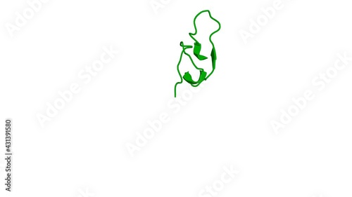 360º realistic 3D rendering of a biological molecule. A new fold in the scorpion toxin family, associated with an activity on a ryanodine-sensitive calcium channel.