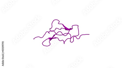 360º realistic 3D rendering of a biological molecule. Backbone dynamics of complement control protein (CCP) modules reveals mobility in binding surfaces.