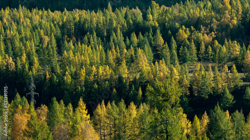 View of landscapes of Altai Republic, Russia.