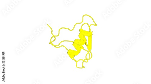 360º realistic 3D rendering of a biological molecule. The three-dimensional structure of the toxic peptide Cl13 from the scorpion Centruroides limpidus.