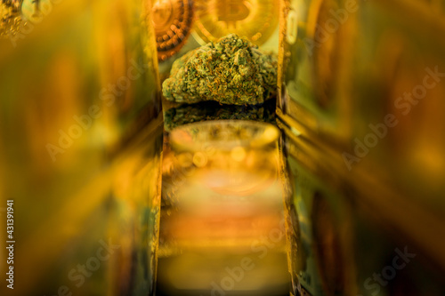 Canvas-taulu Cannabis and Bitcoin Cryptocurrency on the Market.