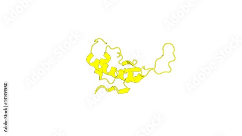 360º realistic 3D rendering of a biological molecule. NMR structure of the peptidyl-tRNA hydrolase domain from Pseudomonas syringae expands the structural coverage of the hydrolysis domains