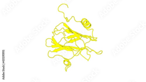 360º realistic 3D rendering of a biological molecule. Solution structure of the eukaryotic pore-forming cytolysin equinatoxin II: implications for pore formation.