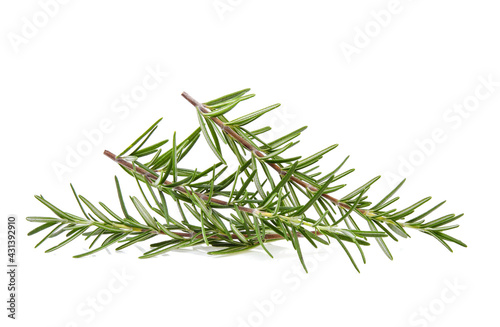 Rosemary isolated on white background