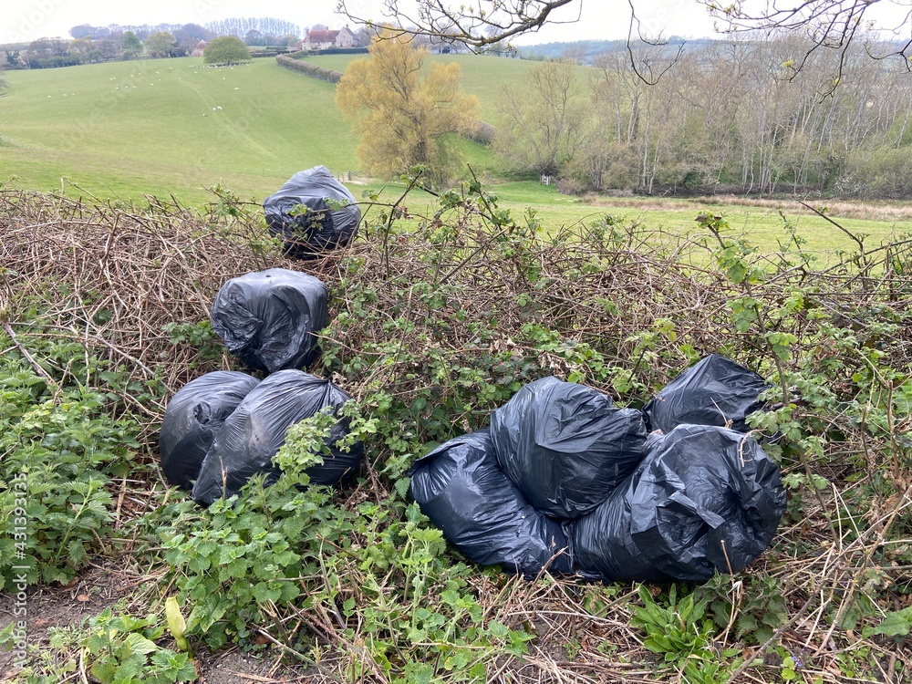 fly tip rubbish garbage bags bin bags dumped Illegal dumping on roadside in hedge Stock Photo